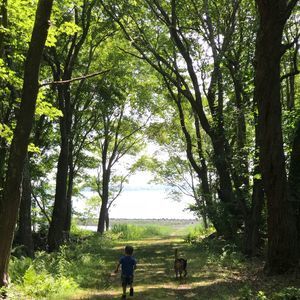 Meet your Posher, Steve